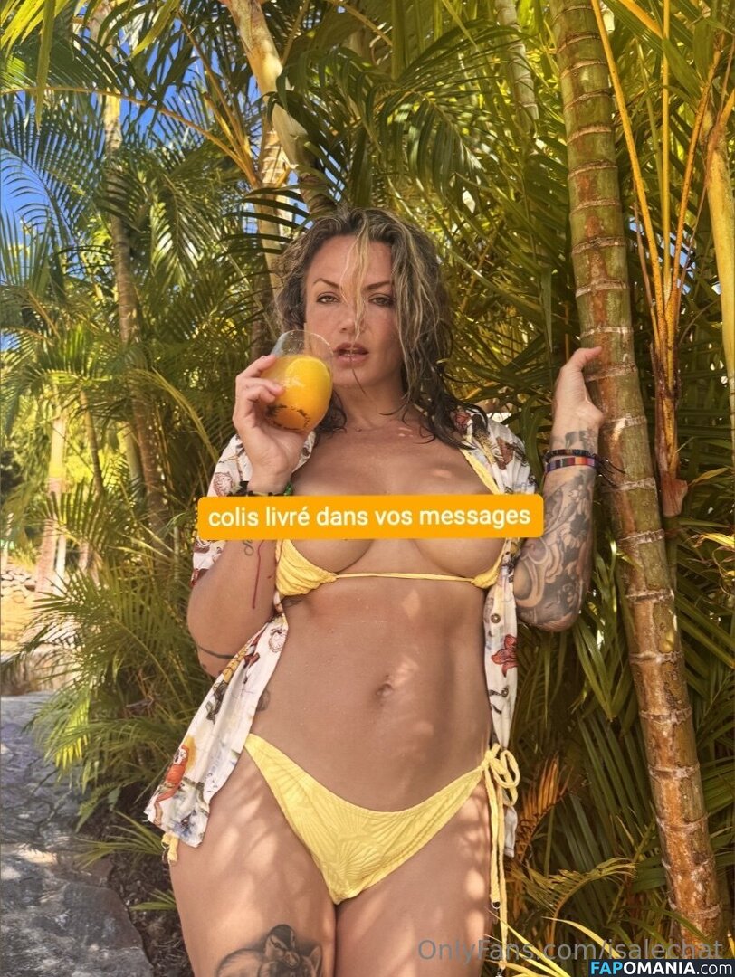 Isabelle Desjardins / isalechat Nude OnlyFans  Leaked Photo #12