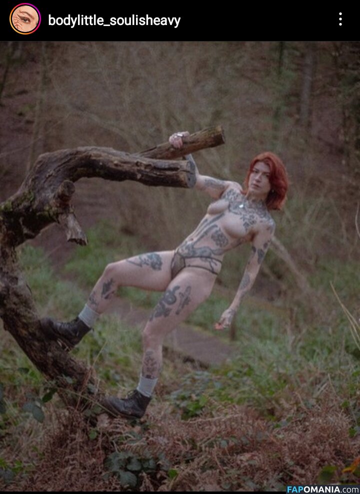 IvyElf / bodylittle_soulisheavy / bodylittlesoulisheavy Nude OnlyFans  Leaked Photo #42