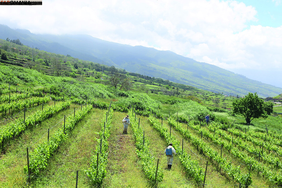 julia_lyn Nude OnlyFans  Leaked Photo #10