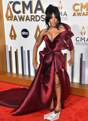 K Michelle