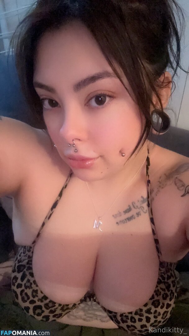 kandikitty_ Nude OnlyFans  Leaked Photo #4