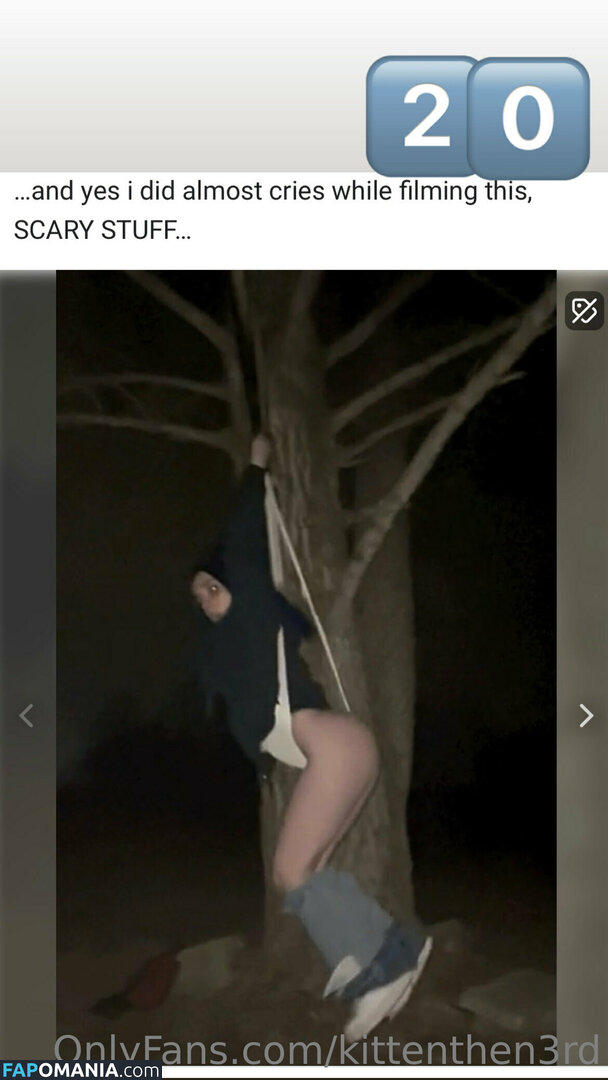 kittenthen3rd Nude OnlyFans  Leaked Photo #12