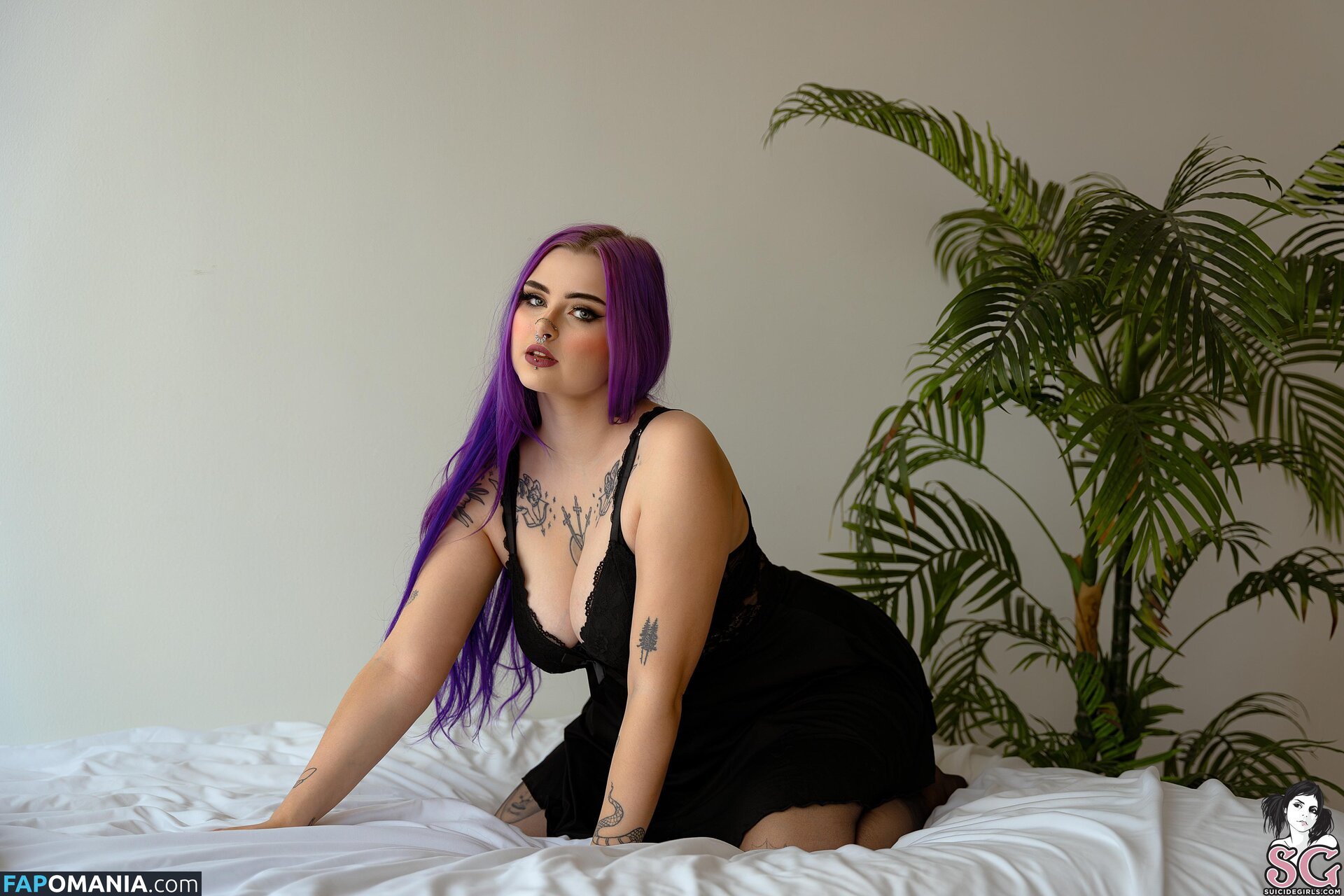 Lilacfables Nude OnlyFans  Leaked Photo #1