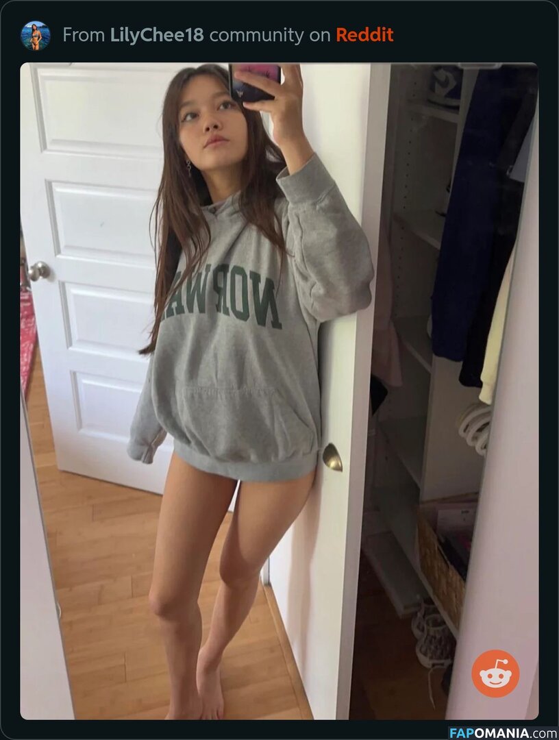 Lily Chee / lilychee Nude OnlyFans  Leaked Photo #151