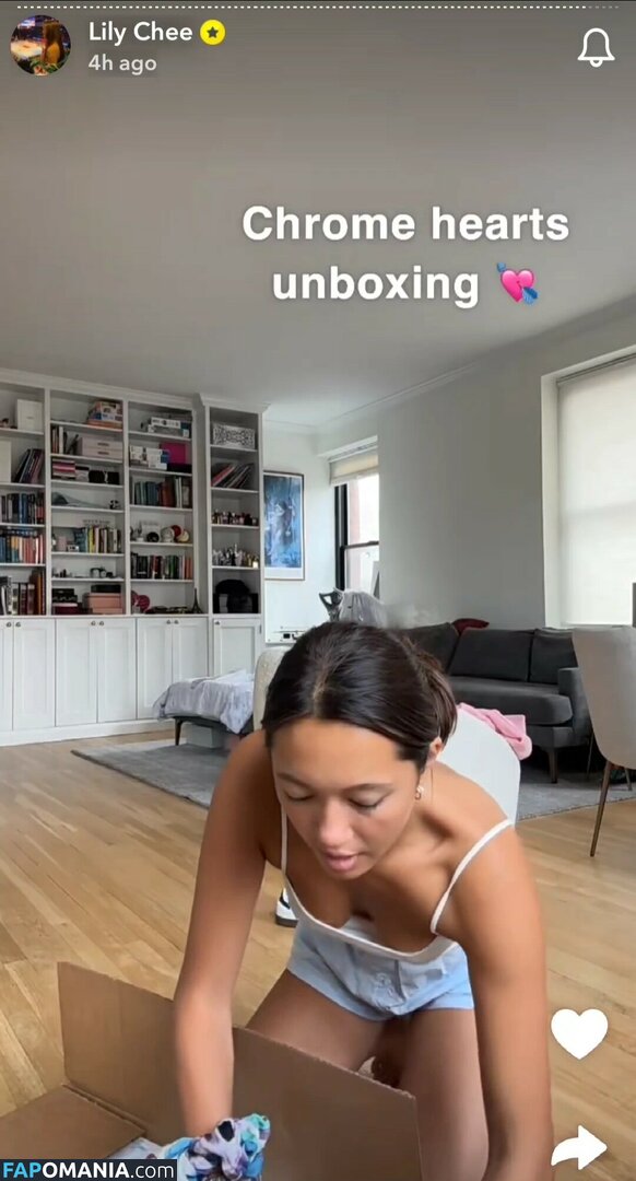 Lily Chee / lilychee Nude OnlyFans  Leaked Photo #468