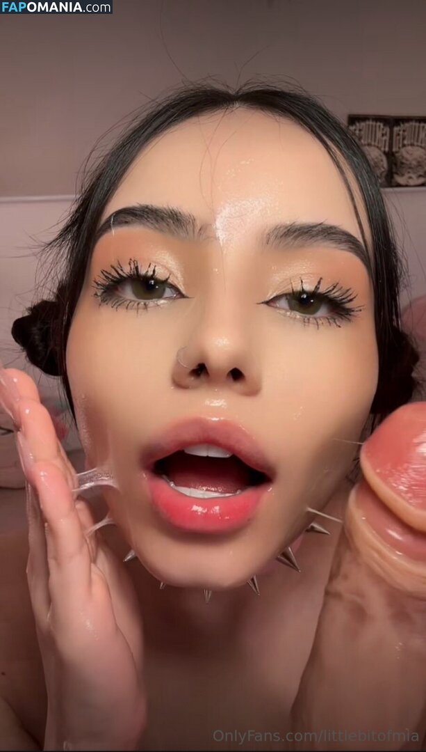 Littlebitofmia / tinybitofmia Nude OnlyFans  Leaked Photo #1