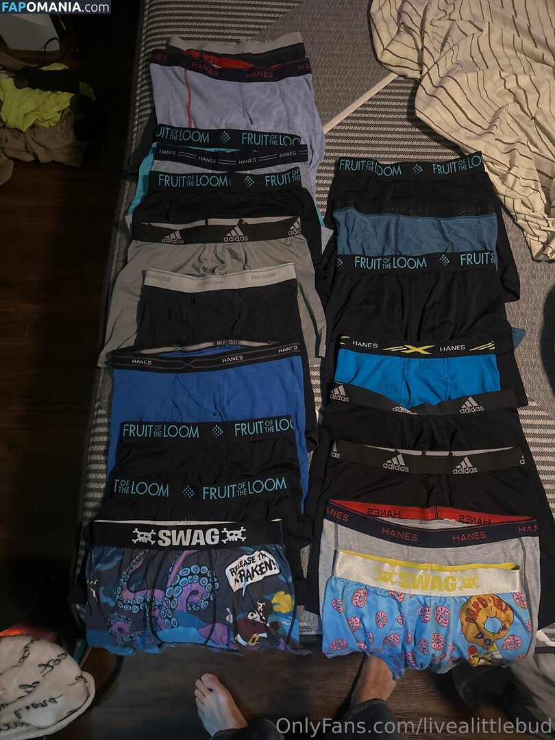 livealittlebud Nude OnlyFans  Leaked Photo #1