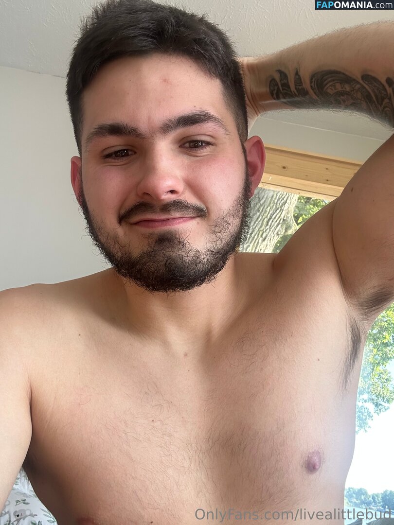 livealittlebud Nude OnlyFans  Leaked Photo #2
