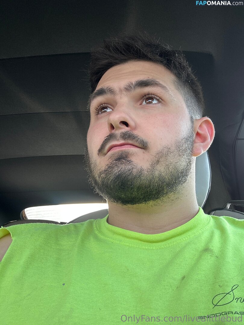 livealittlebud Nude OnlyFans  Leaked Photo #5