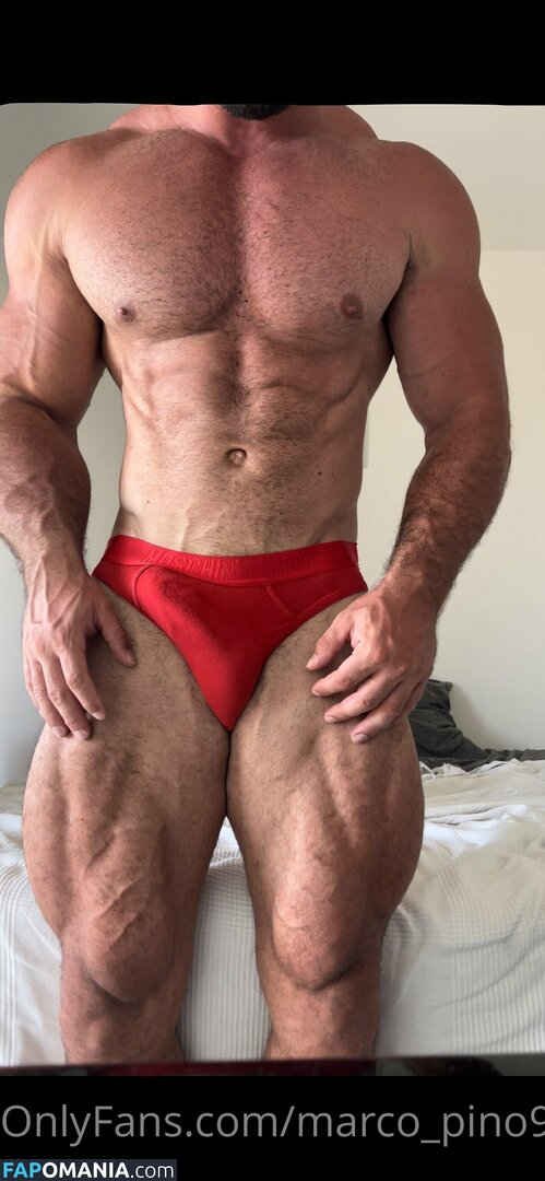 marco_pino91 Nude OnlyFans  Leaked Photo #3