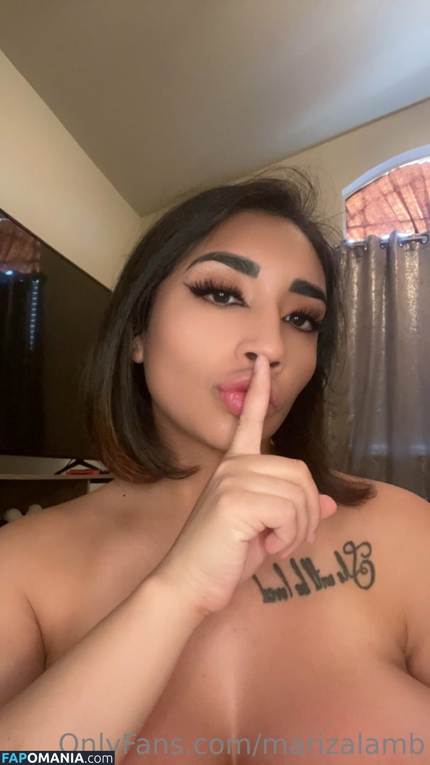 marizalamb Nude OnlyFans  Leaked Photo #72