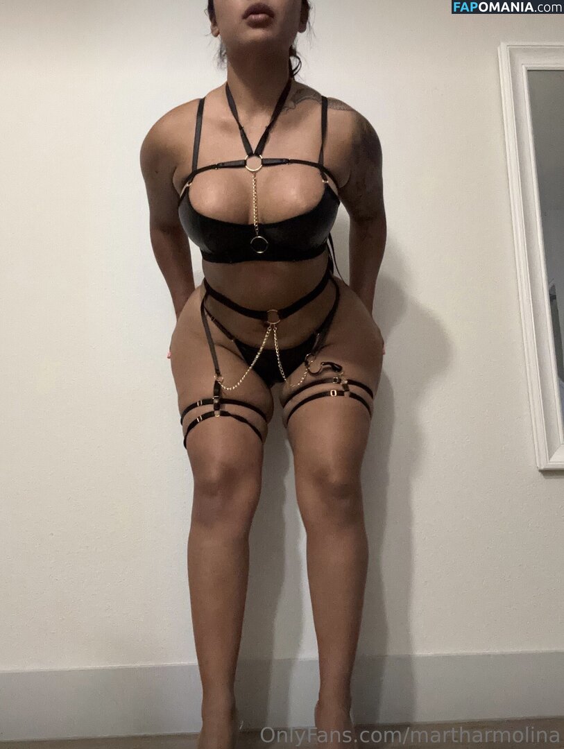 martha.molinaa / martharmolina Nude OnlyFans  Leaked Photo #3