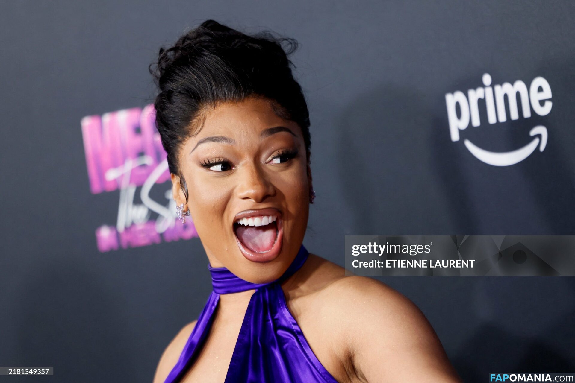 Megan Thee Stallion / megan_renee316 / theestallion Nude OnlyFans  Leaked Photo #40