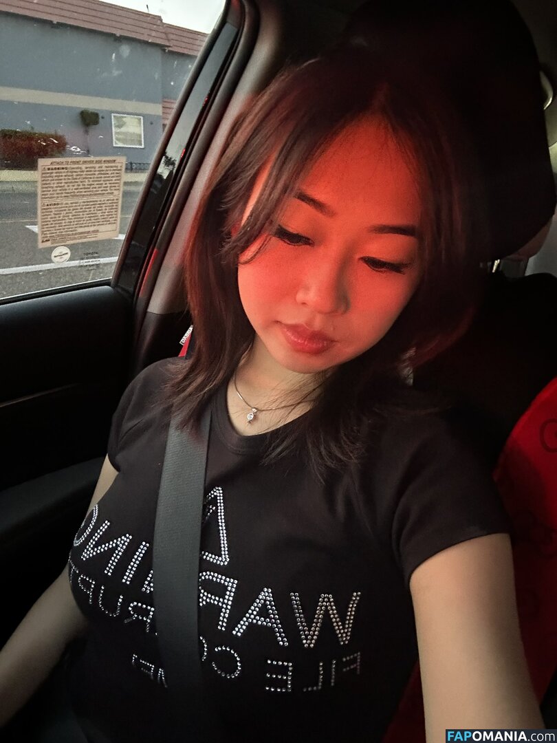 MEI LEE / meilee / meilee.offcial Nude OnlyFans  Leaked Photo #22