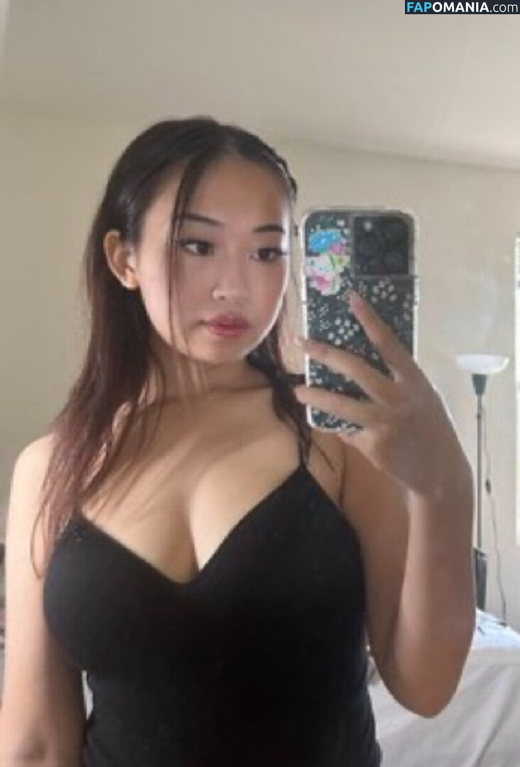 MEI LEE / meilee / meilee.offcial Nude OnlyFans  Leaked Photo #40