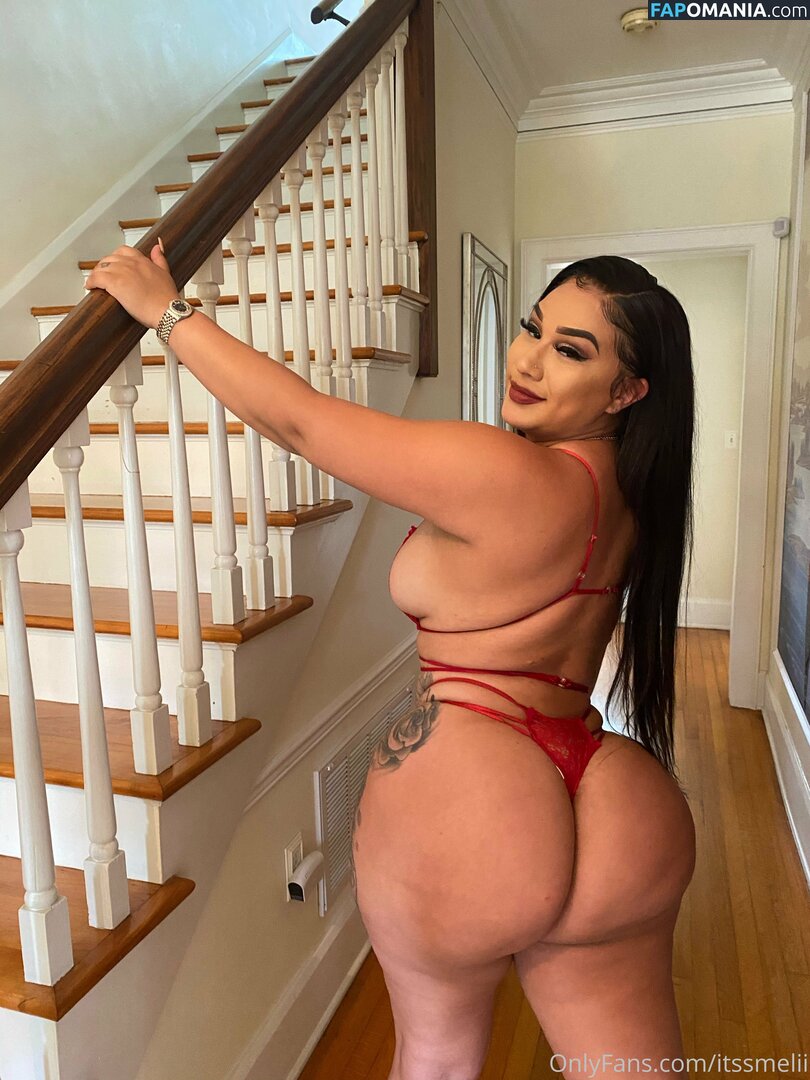 melifineass Nude OnlyFans  Leaked Photo #17
