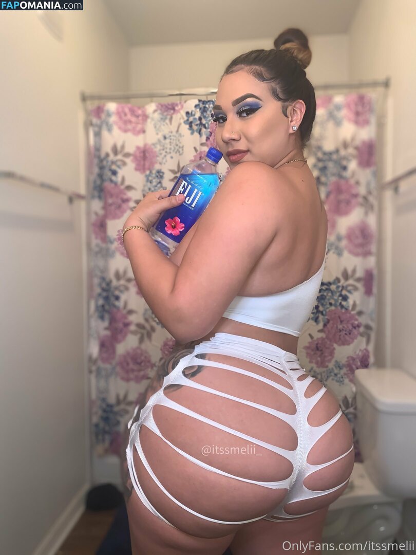 melifineass Nude OnlyFans  Leaked Photo #19