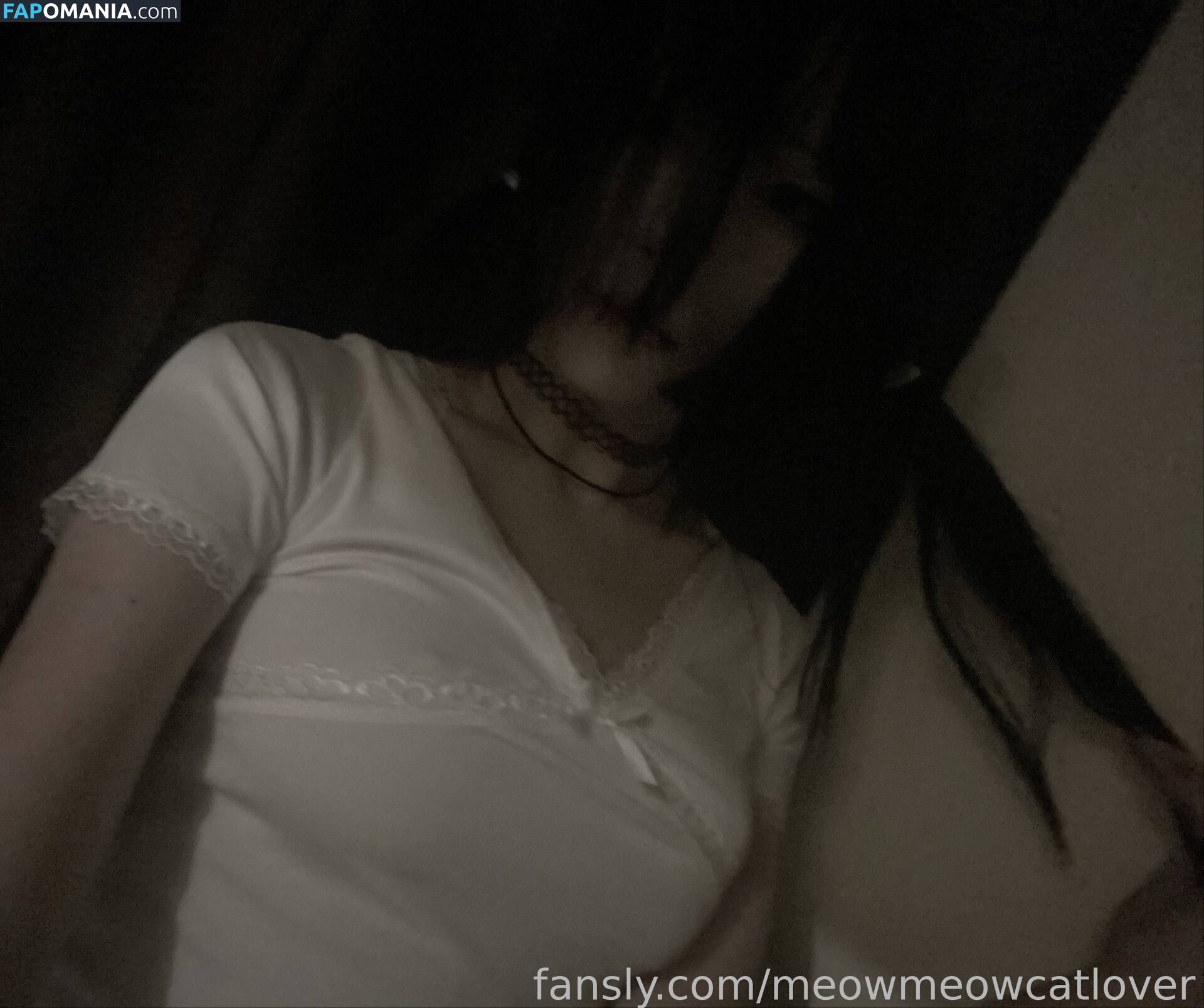 meow.meow.cat.lovers / meowmeowcatlover Nude OnlyFans  Leaked Photo #5