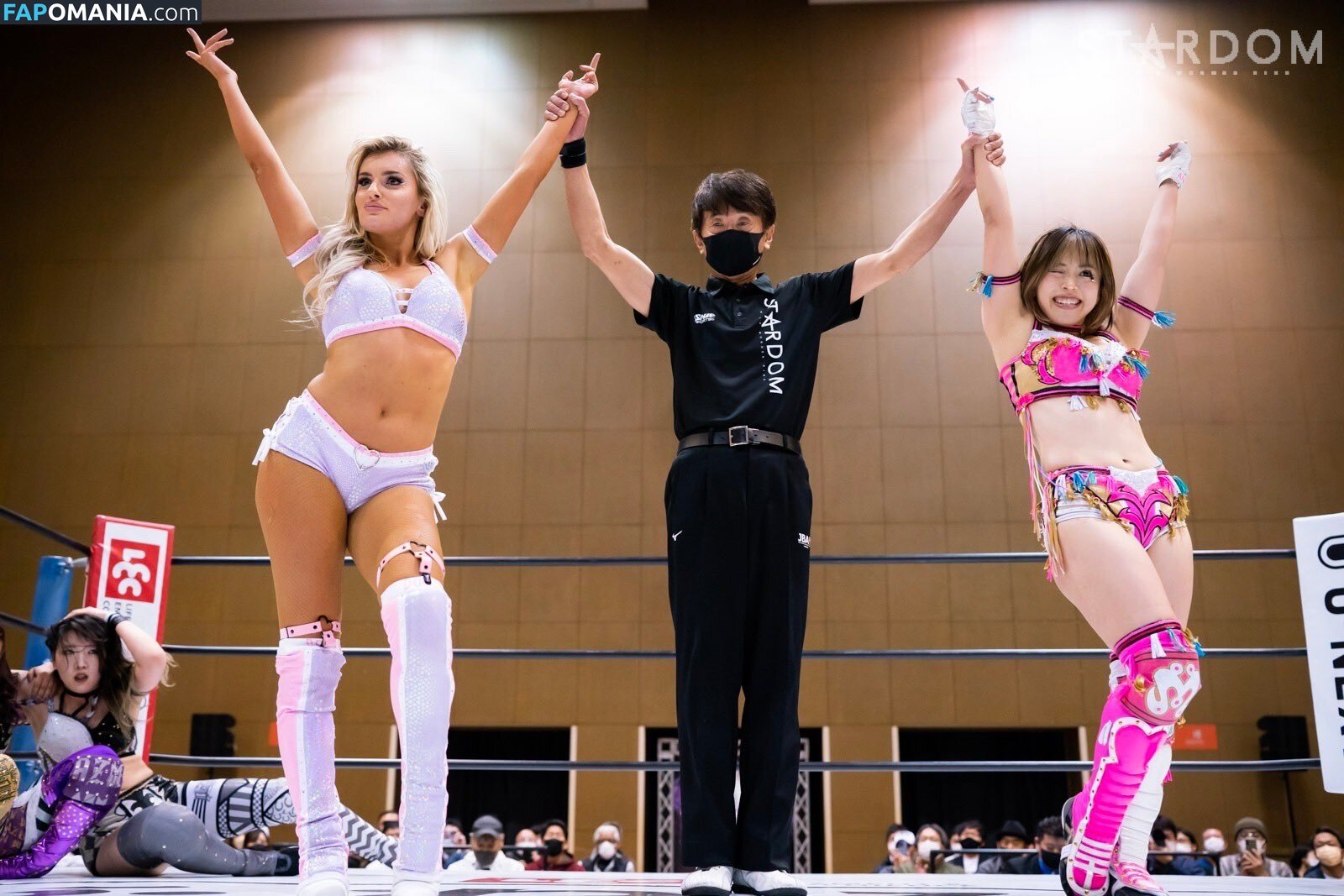 Mina Shirakawa / mina_shirakawa Nude OnlyFans  Leaked Photo #1122