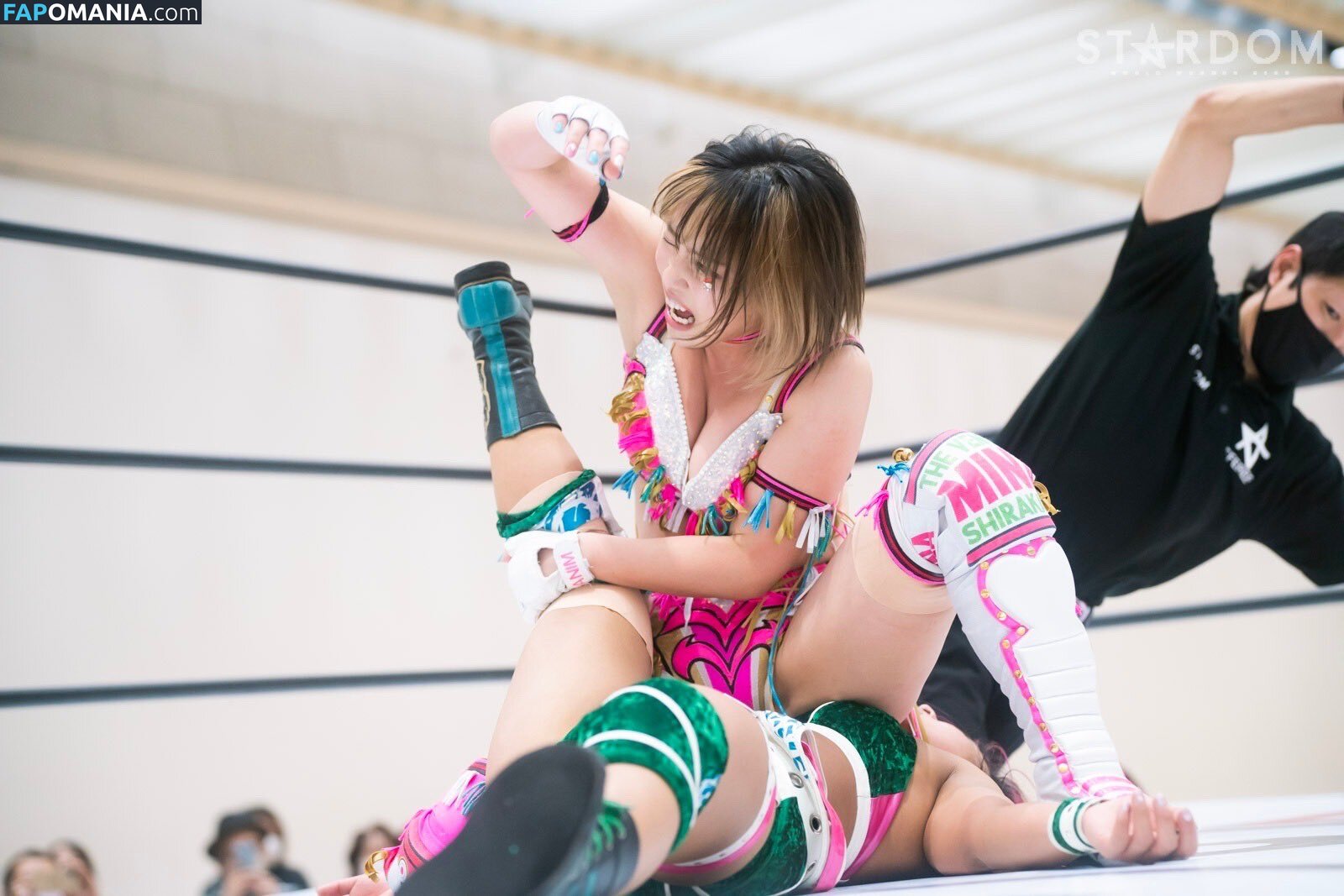 Mina Shirakawa / mina_shirakawa Nude OnlyFans  Leaked Photo #1123