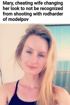ModelPOV