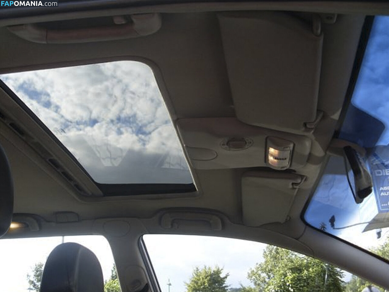 Moonroof Nude OnlyFans  Leaked Photo #2