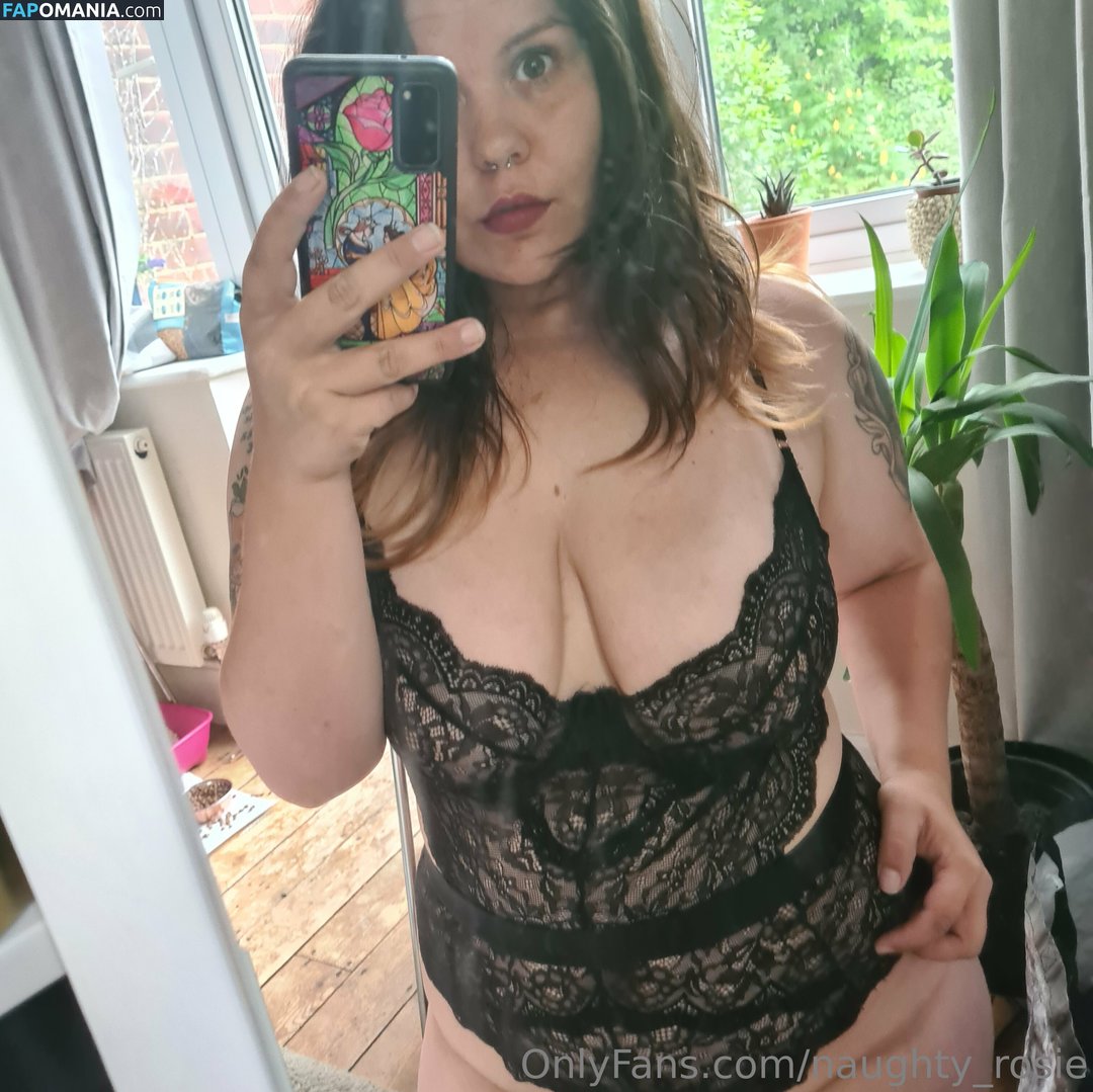 naughty_rosie Nude OnlyFans  Leaked Photo #29
