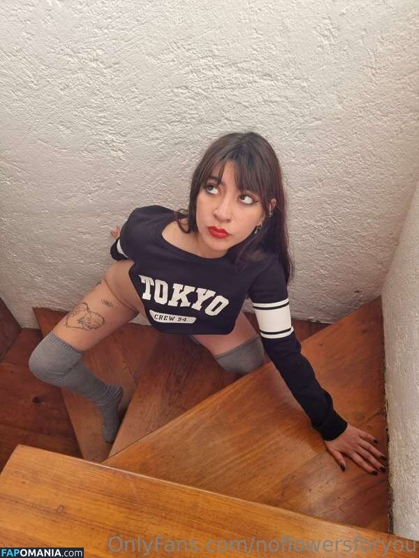 NoFlowers4You / NoFlowersForYou / NoFlowersForYou... / NoFlowersForYou_ / assets / https: / noflowersforu Nude OnlyFans  Leaked Photo #11