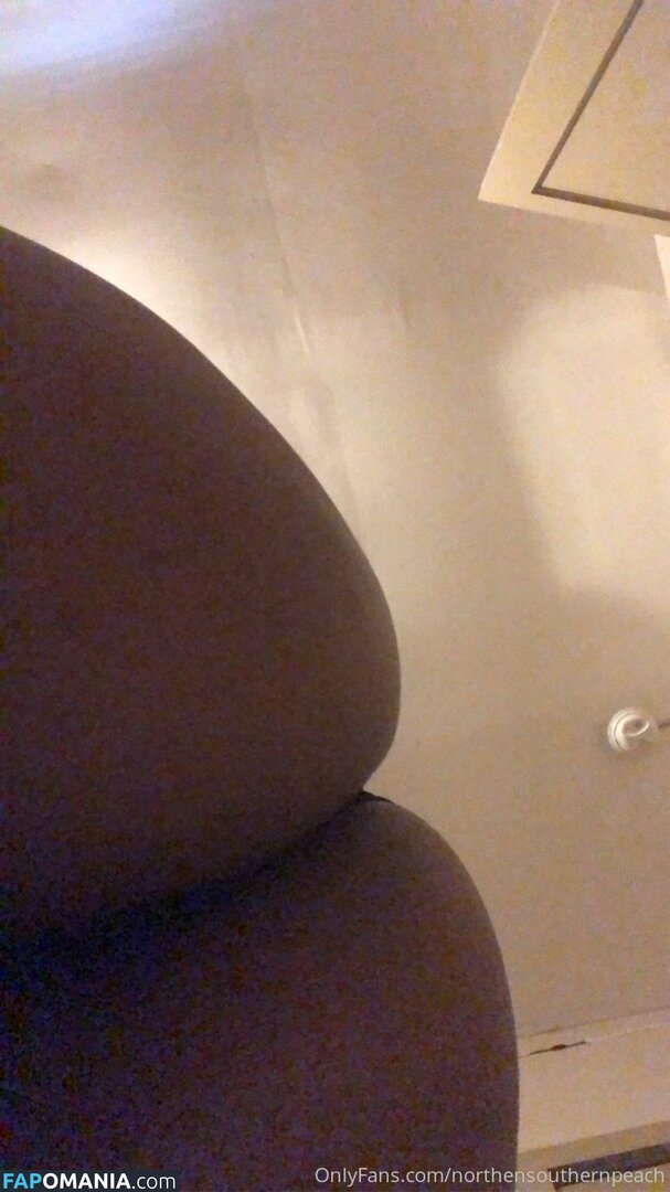 northernsouthern / northernsouthernpeach Nude OnlyFans  Leaked Photo #11