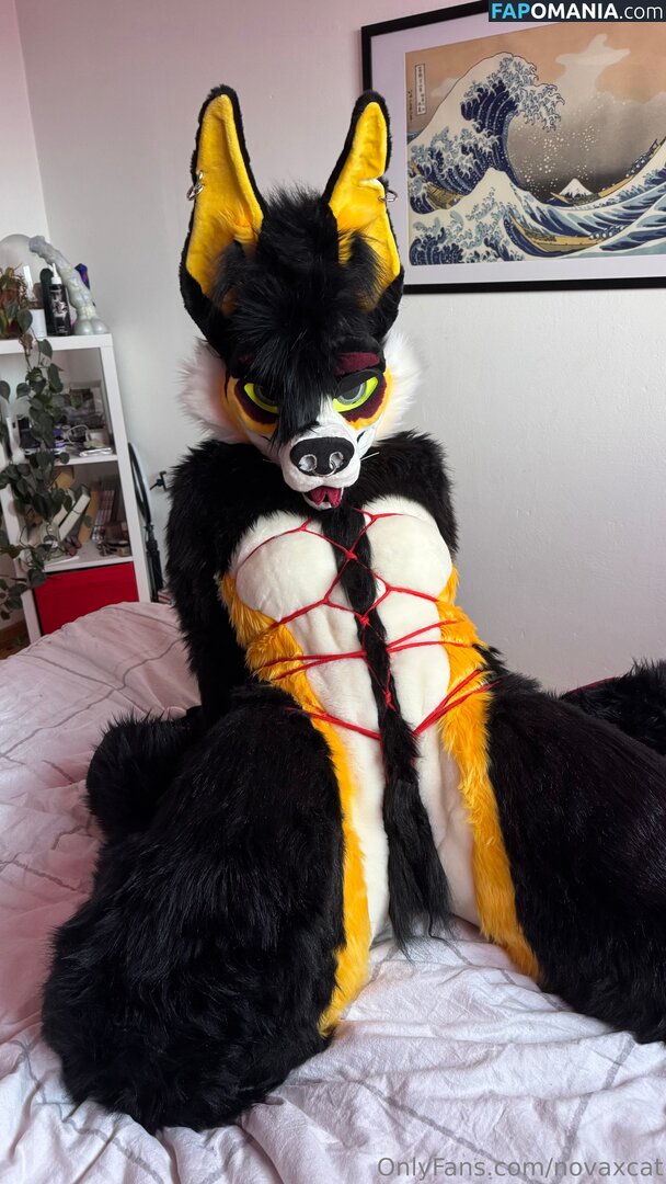 novaxcat / novaxxcat Nude OnlyFans  Leaked Photo #2