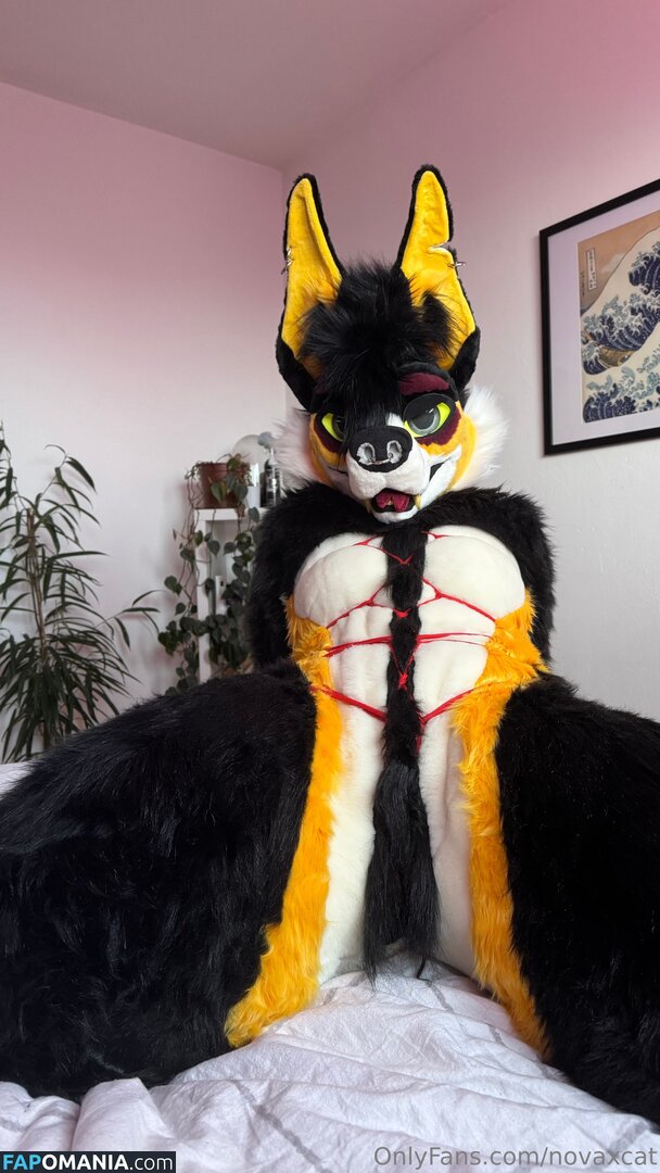 novaxcat / novaxxcat Nude OnlyFans  Leaked Photo #3