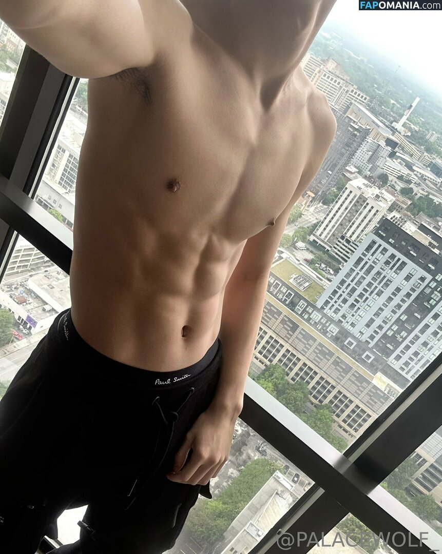 palacewolf / palacewolfent Nude OnlyFans  Leaked Photo #4