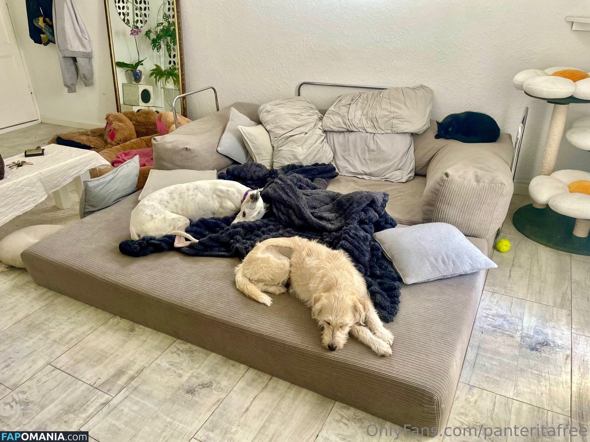 panteritafree Nude OnlyFans  Leaked Photo #6