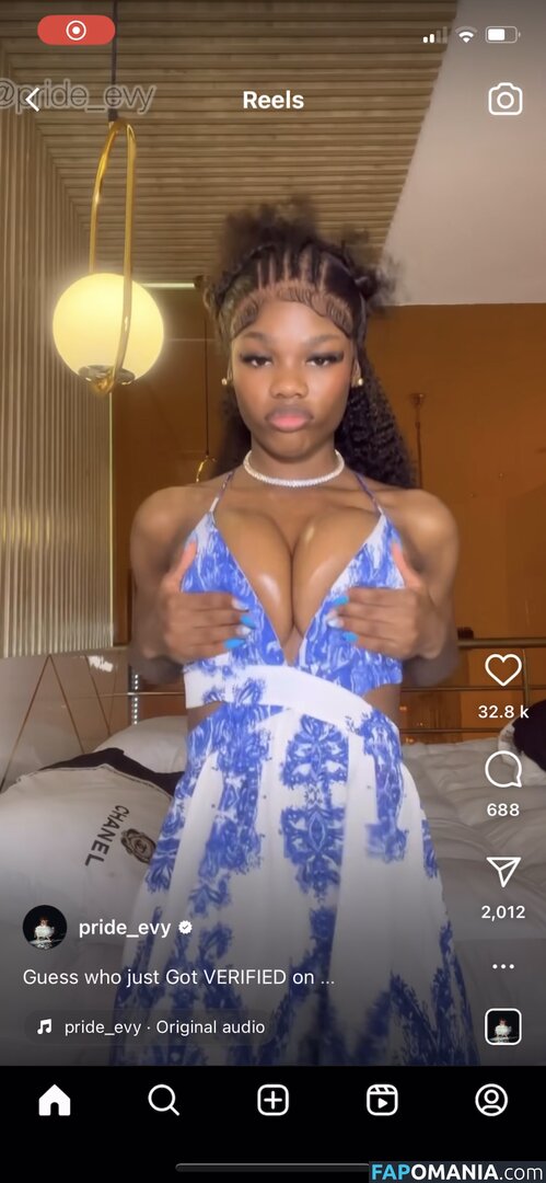 Prettyboobs / Pride_evy Nude OnlyFans  Leaked Photo #1