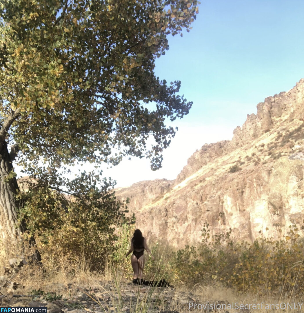 playfulsecret / provisionalsecret Nude OnlyFans  Leaked Photo #1