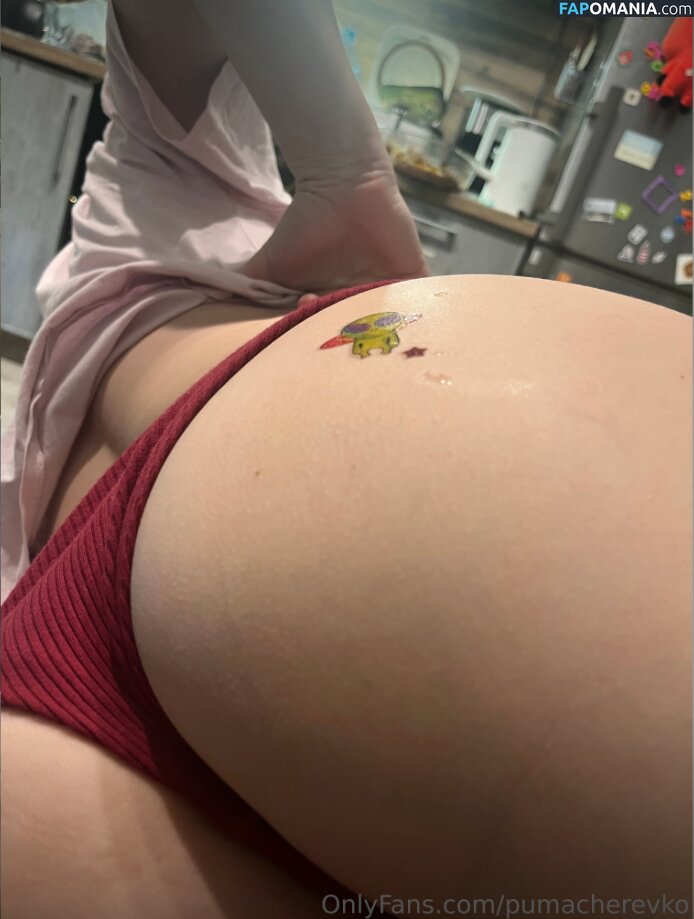 Margarita / Puma Cherevko / pumacherevko Nude OnlyFans  Leaked Photo #17