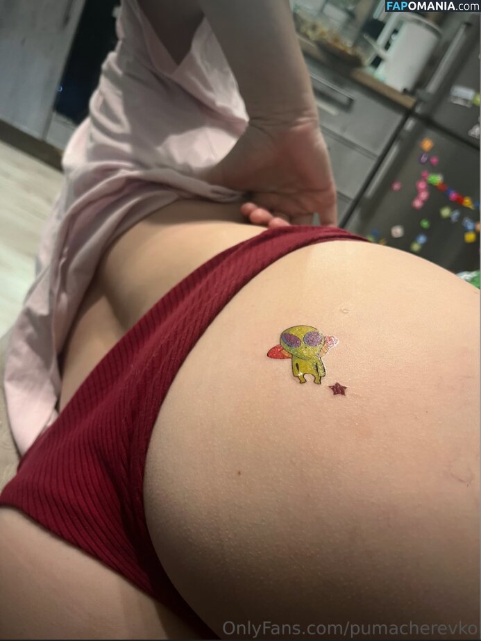 Margarita / Puma Cherevko / pumacherevko Nude OnlyFans  Leaked Photo #18