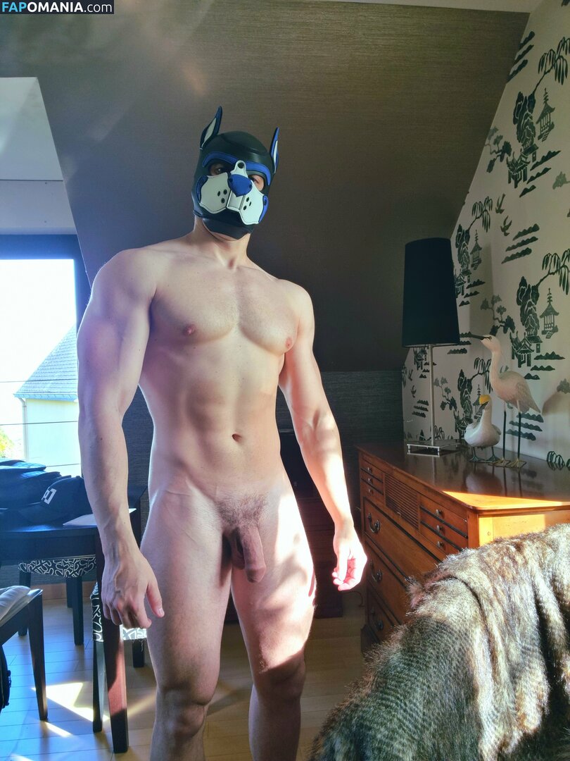 pup_buday / pupbuday Nude OnlyFans  Leaked Photo #3