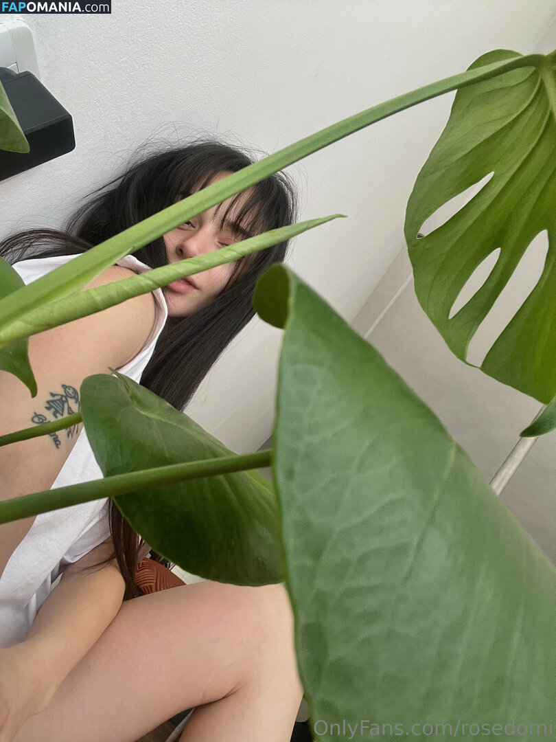 rosedomi Nude OnlyFans  Leaked Photo #177