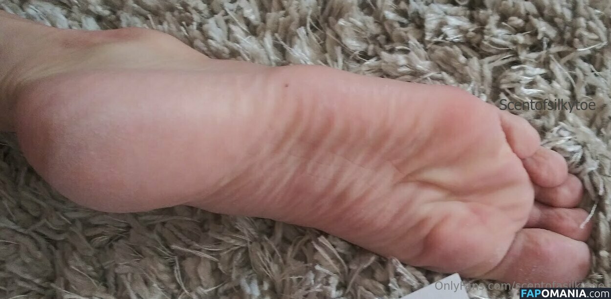 scent_of_a_baby / scentofasilkytoe Nude OnlyFans  Leaked Photo #3