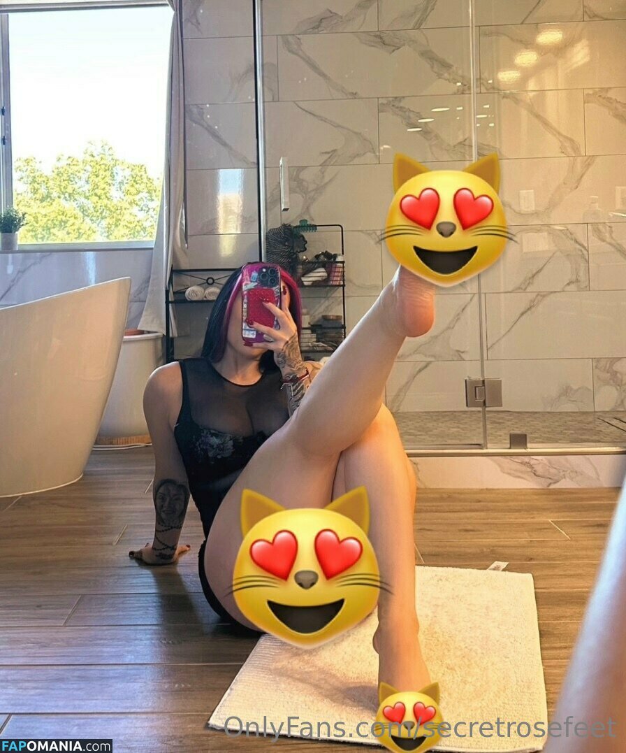 secretfeet2021 / secretrosefeet Nude OnlyFans  Leaked Photo #13
