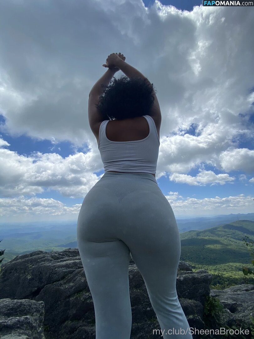 Sheena Brooke Nude OnlyFans  Leaked Photo #3