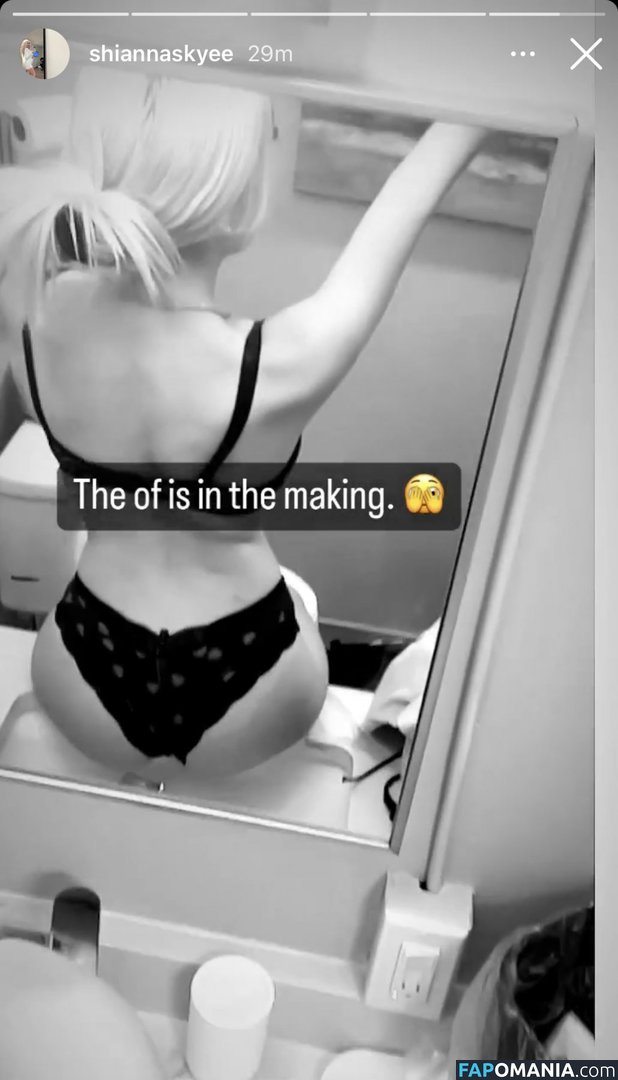 destinyskye / shiannaskyee Nude OnlyFans  Leaked Photo #2