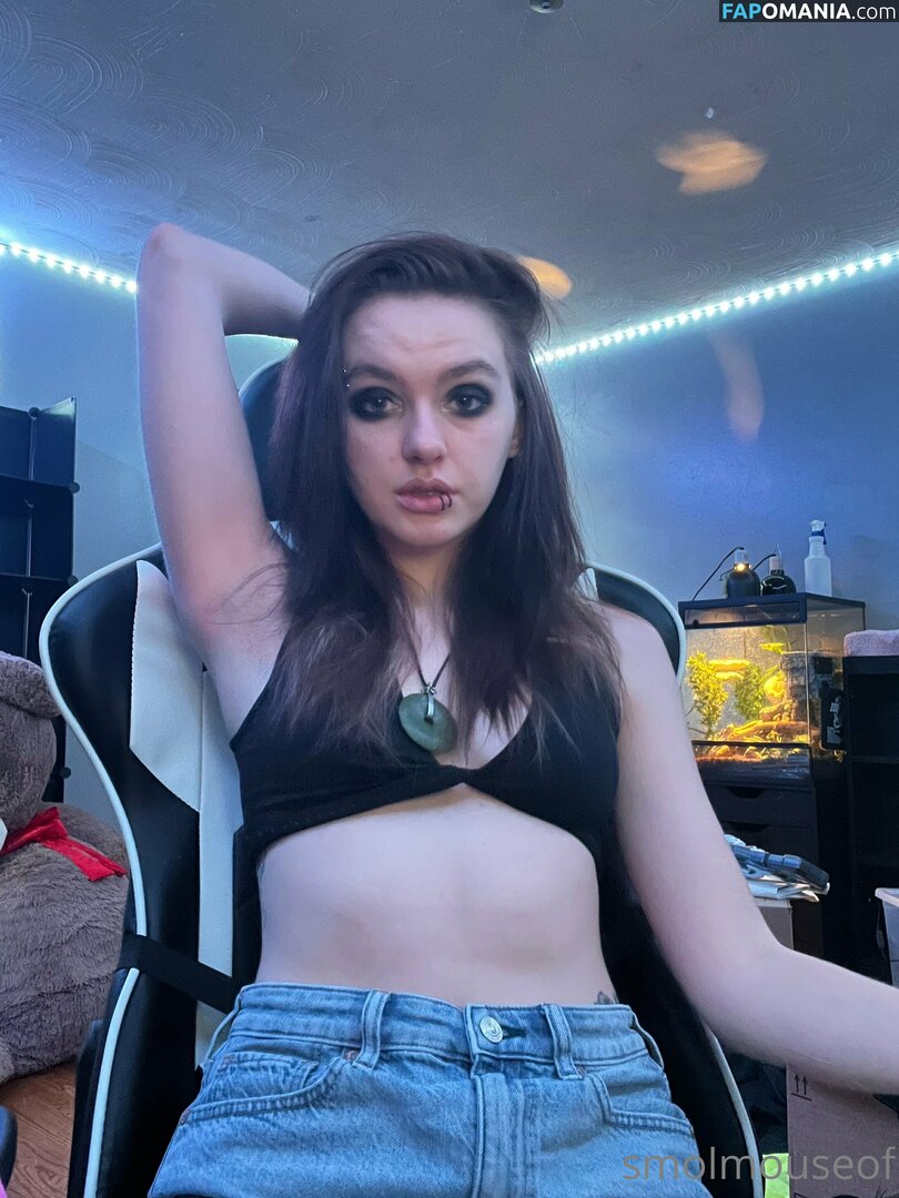 smolmouse8 / smolmouseof Nude OnlyFans  Leaked Photo #46
