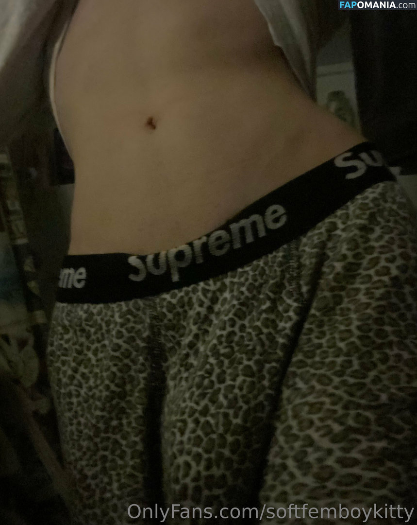 myfriendsmademebuyit / softfemboykitty Nude OnlyFans  Leaked Photo #20