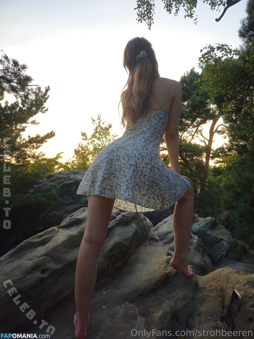 strohbeeren Nude OnlyFans  Leaked Photo #3