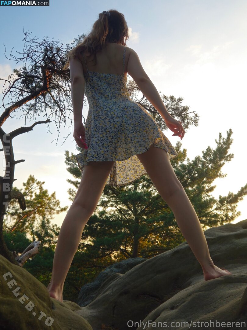strohbeeren Nude OnlyFans  Leaked Photo #4