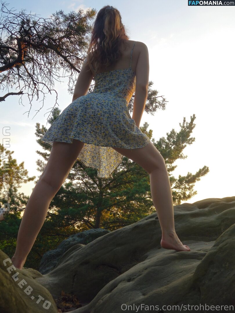 strohbeeren Nude OnlyFans  Leaked Photo #5