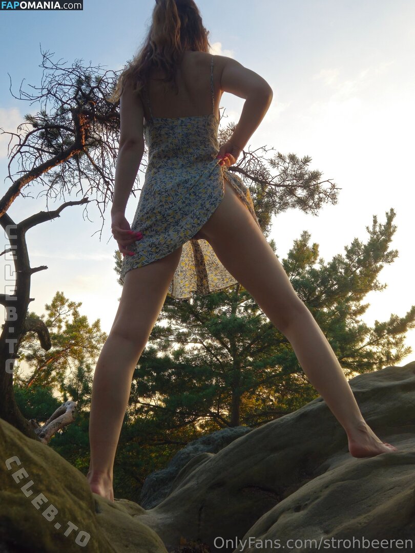 strohbeeren Nude OnlyFans  Leaked Photo #6