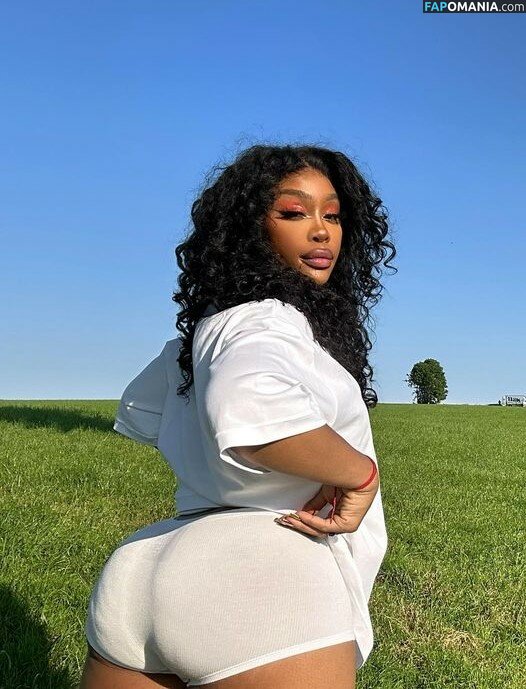 SZA / Solana Rowe / thejad3x Nude OnlyFans  Leaked Photo #56
